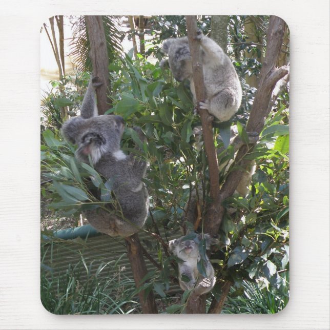 Mousepad Adopt A Koala Australia (Front)