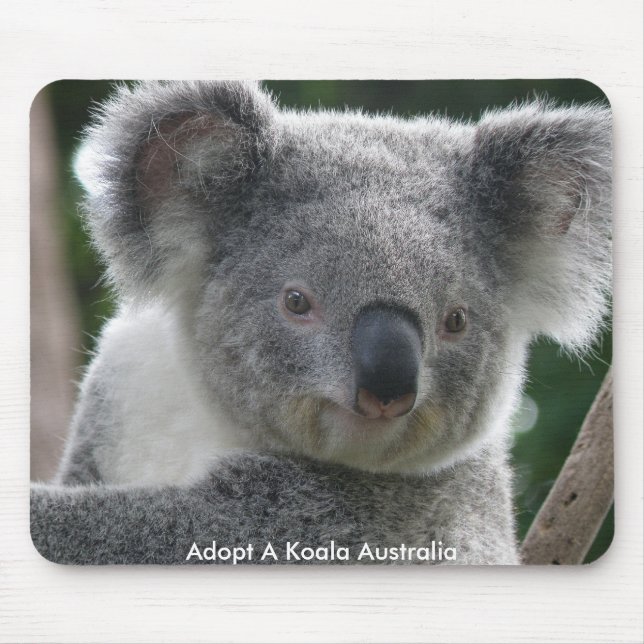 Mousepad Adopt A Koala Australia (Front)
