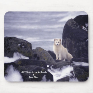 Mousepad / Arctic Fox