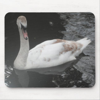 Mousepad Baby Swan Swimming