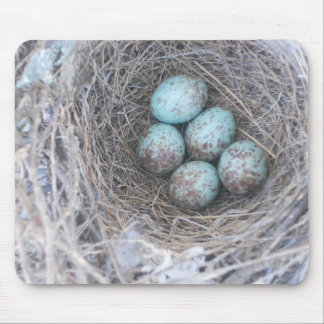 Mousepad Bird's Nest with Eggs Photography