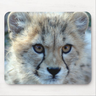 Mousepad-cheetah-cub10x10 Mouse Pad