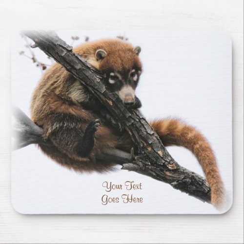 Mousepad Coatimundi 5 Mouse Pad