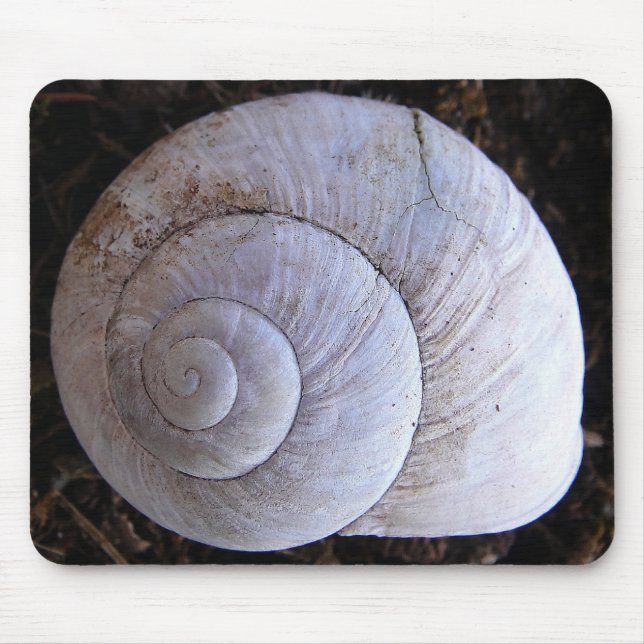 Mousepad cool snailshell (Front)
