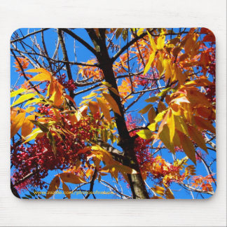 Mousepad - Fall foliage