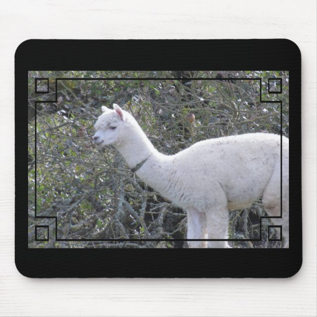 Mousepad - Frame for Your Image (Front)