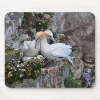Mousepad: Gannets and Flowers Mouse Pad