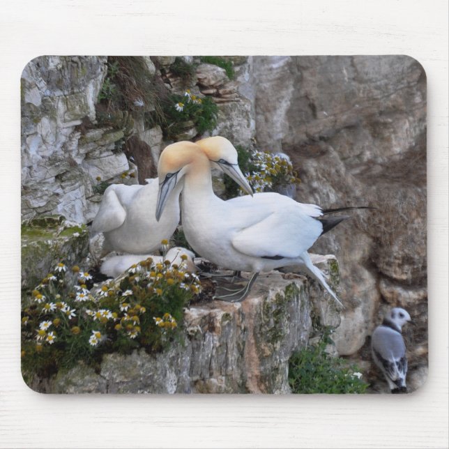Mousepad: Gannets and Flowers Mouse Pad (Front)