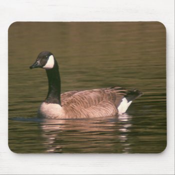 Mousepad - Goose by bkmuir at Zazzle