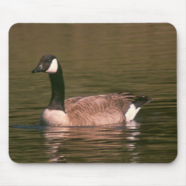 Mousepad - Goose (Front)