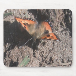 Mousepad Hairy Butterfly Dirt Foraging