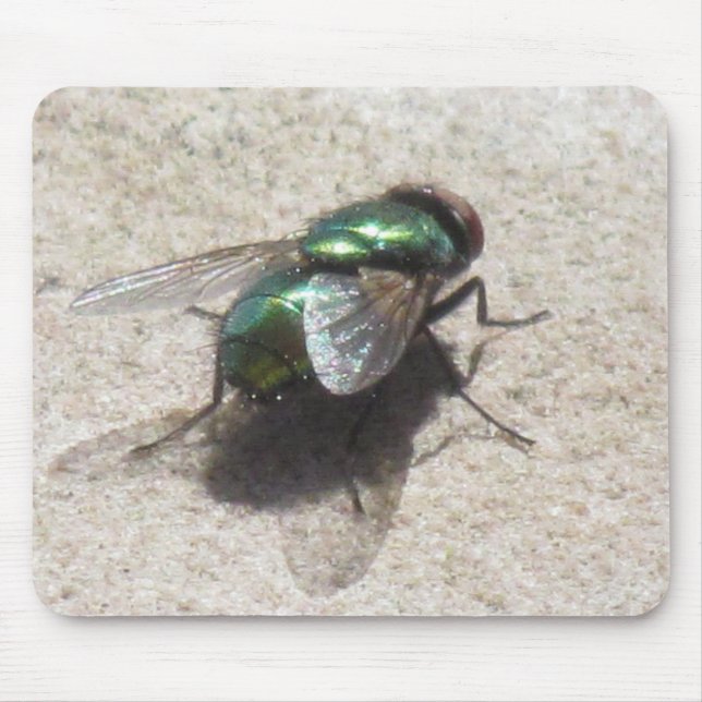 Mousepad - Housefly (Front)