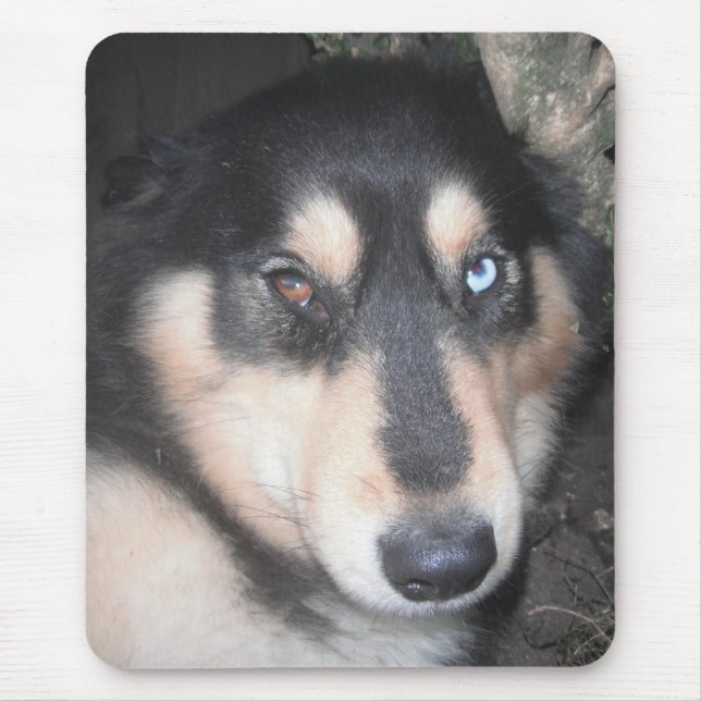Mousepad Husky One Blue Eye One Brown Eye (Front)