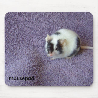 mousepad. mouse pad