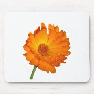 Mousepad – Orange Flower on Stem