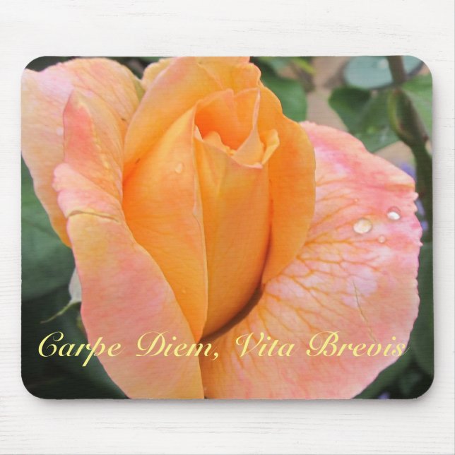 Mousepad--Orange Rose With Raindrops Mouse Pad (Front)