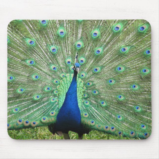 Mousepad - Peacock (Front)