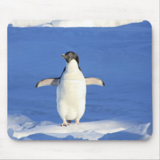 Mousepad - Penguin