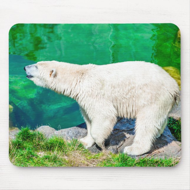 Mousepad polar bear (Front)