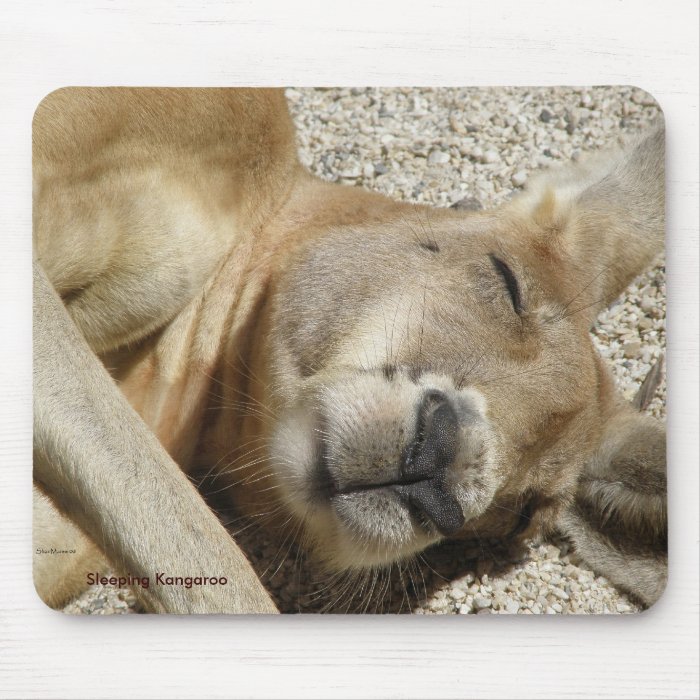 Mousepad Sleeping Kangaroo Photo Australia Mousepads