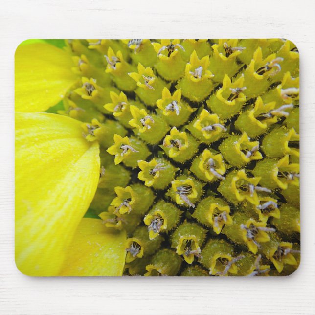 Mousepad Sonnenblumenblütchen (Front)