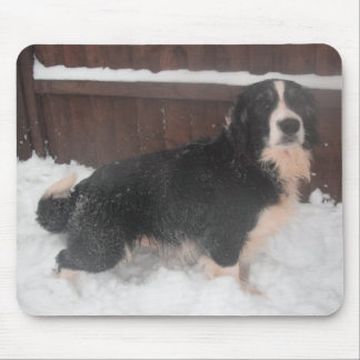 Mousepad Sprollie In The Snow