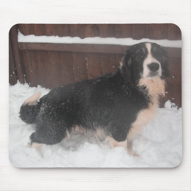 Mousepad Sprollie In The Snow (Front)