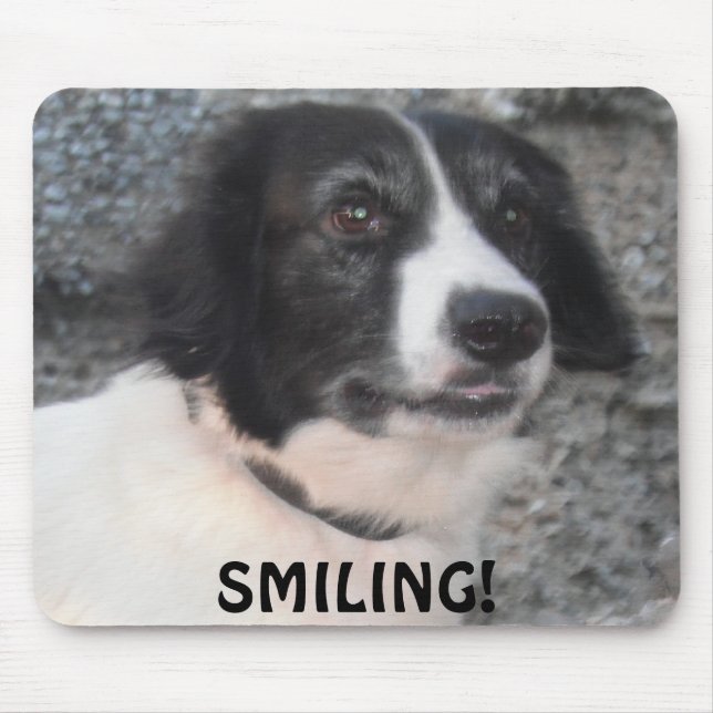 Mousepad Sprollie Visiting Castle Smiling (Front)