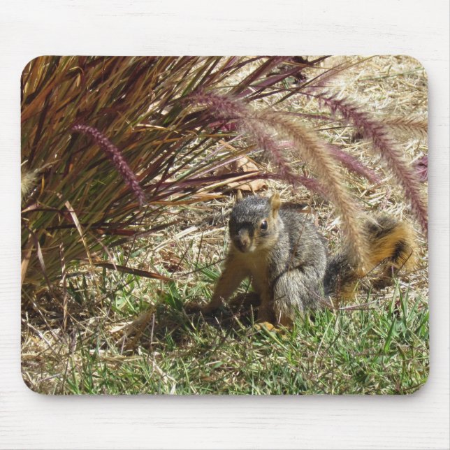 Mousepad - Squirrel in the Grass (Front)