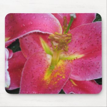 Mousepad  Stargazer Lilly Mouse Pad by dbrown0310 at Zazzle