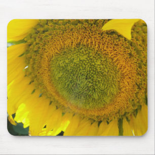 Mousepad: Sunflower bloom Mouse Pad