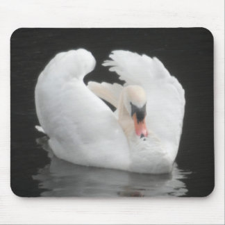 Mousepad Swan Swimming