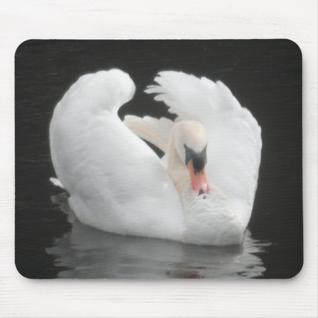 Mousepad Swan Swimming (Front)