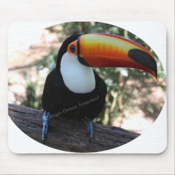 Mousepad Toucan by sangstar1 at Zazzle