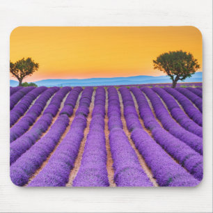 Mousepad Valensole- Provence France