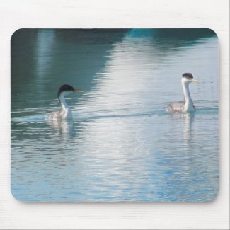 Mousepad - Western Grebe
