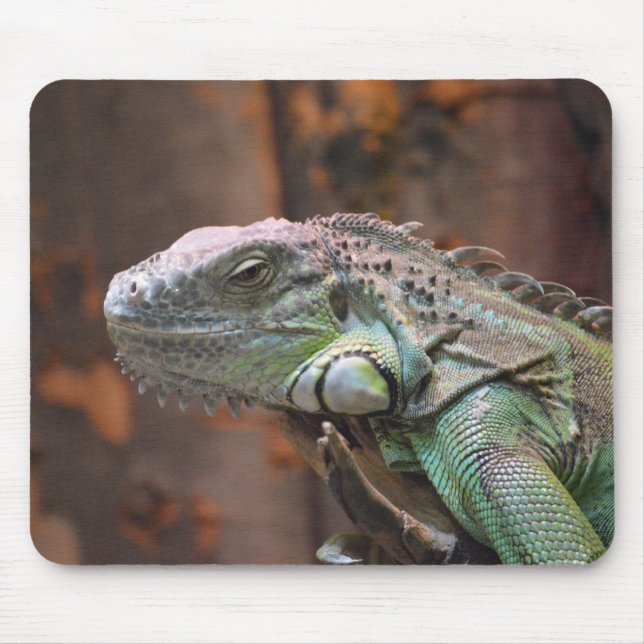 Mousepad  with colorful Iguana lizard (Front)