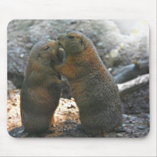 Mousepad with cute marmot couple