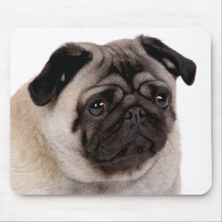 mousepad with pug muzzle
