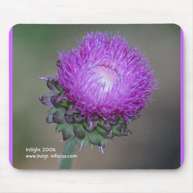 Mousepad with Thistle (Front)