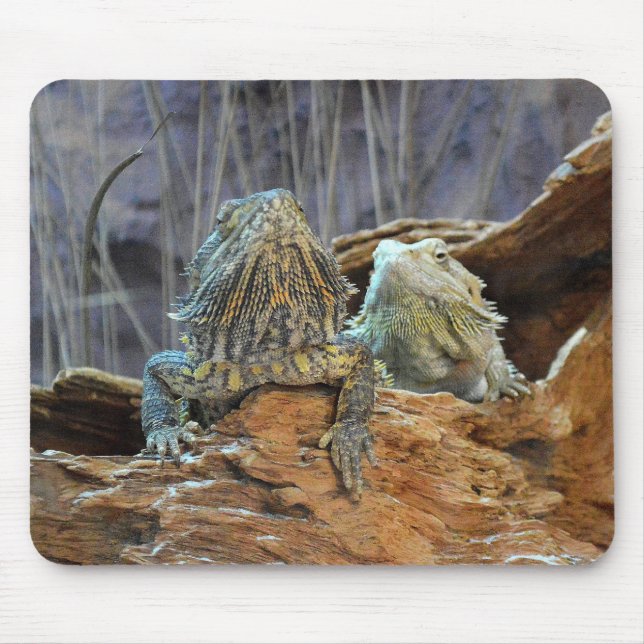Mousepad with two curious lizards (Front)