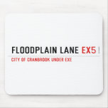 Floodplain lane  Mousepads