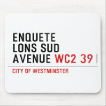 enquete  lons sud  avenue  Mousepads