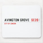 Avington Grove   Mousepads