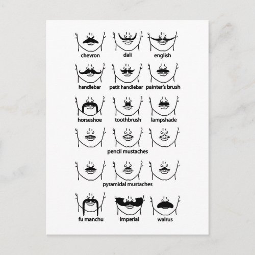 Moustache Chart Postcard