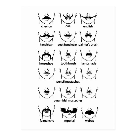 Moustache Chart
