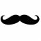 Moustache cutout disguise, funny mustache