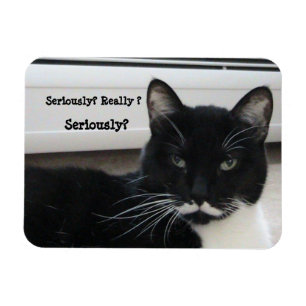 Moustache Tuxedo Cat (Seriously?) Magnet