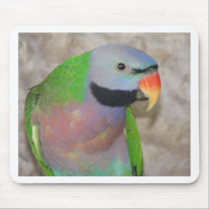 Moustached Parakeet Mouse Pad