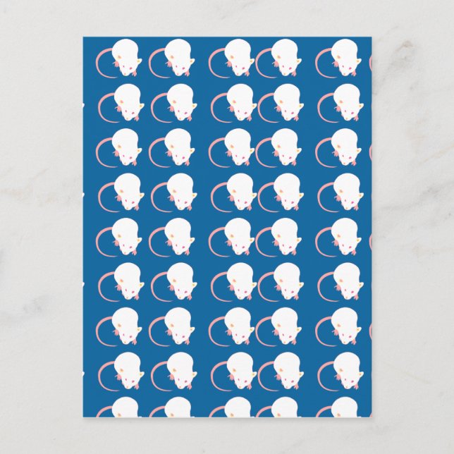 mousyb postcard (Front)